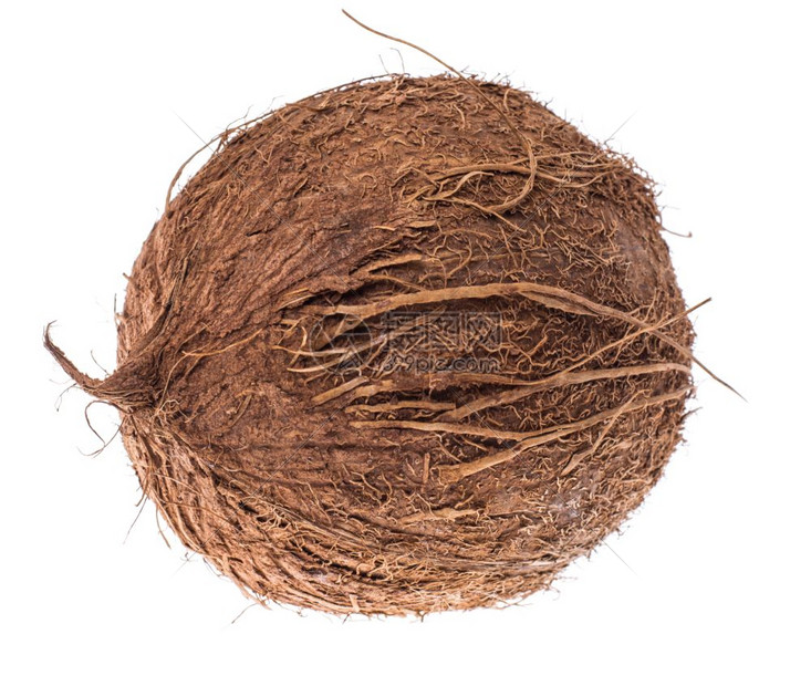 整个椰子在白色背景上