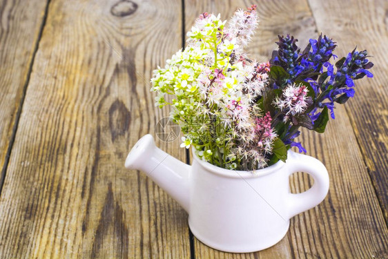 白色花瓶水罐用木制桌上的花朵工作室照片图片