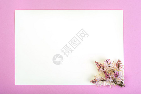 彩色纸张背景的鲜花创作布局工室照片彩色纸背景的鲜花创作布局图片