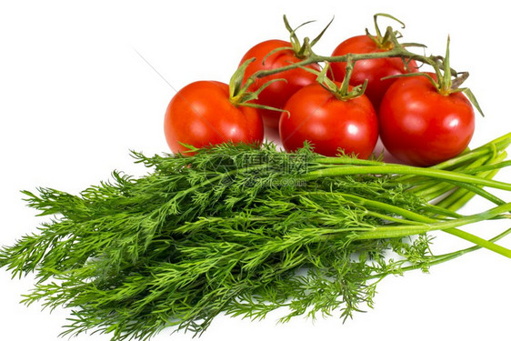 红色西柿的一小串新鲜和红番茄的分支工作室照片红色西柿的一串新鲜和分支图片