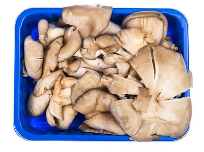 新鲜灰牡蛎蘑菇健康营养图片