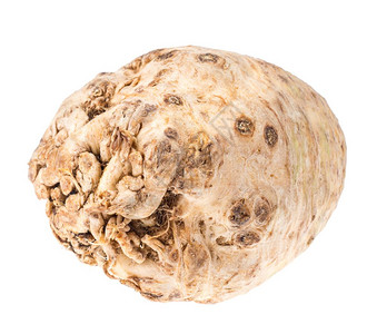 圆根celeryroot孤立在白色背景上工作室照片背景