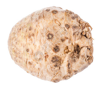 圆根celeryroot孤立在白色背景上工作室照片背景