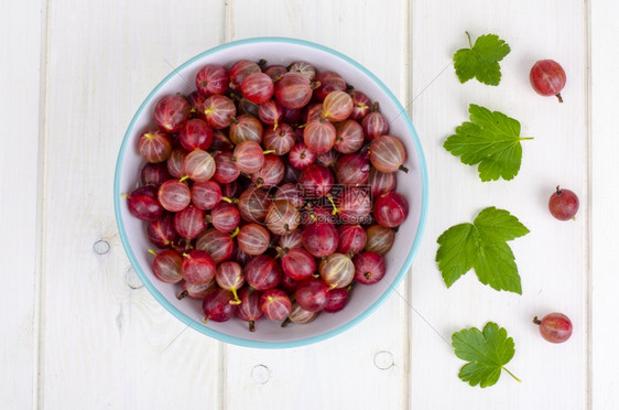圆木背景的红成熟鹅莓工作室照片红成熟的鹅莓木背景红成熟鹅莓碗图片