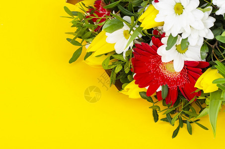 黄色背景的鲜花束美味摄影棚照片图片