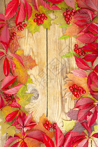 拼贴从秋天明亮的树叶和浆果木背景框架照片拼贴从秋天明亮的树叶和浆果木背景框架摄影棚照片图片