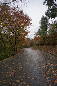 路与背景图片