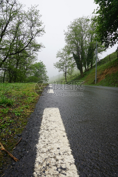 树木和道路图片