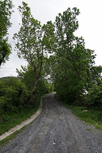 山中的道路图片