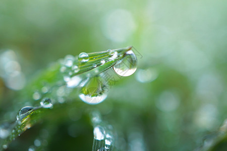 矢量草绿草地上的雨滴背景