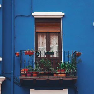 蓝色建筑外的窗口图片