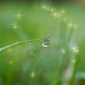 大自然的草叶上下雨滴冬天的图片