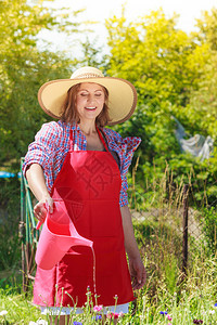 穿着帽子的红色围裙妇女在后院花园里工作在户外浇花图片