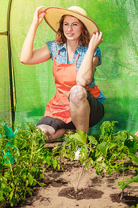 拥有园艺工具的成熟农妇在其花园温室工作图片