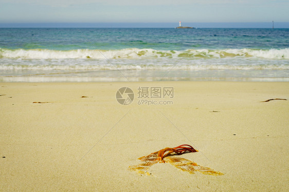 海景沙滩海岸地平线上有灯塔安多亚岛布莱克斯特兰达海滩挪威维斯特兰群岛海景沙滩地平线上有灯塔图片