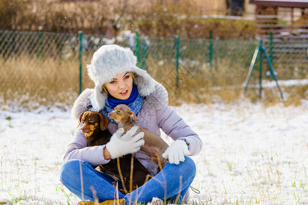 女婴在冬天玩得开心女婴在雪下时与两只小纯种狗玩耍女婴在冬天与狗玩耍图片