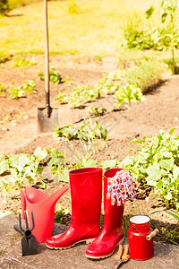庭外花园红色橡胶靴子和水罐中的园艺工具图片