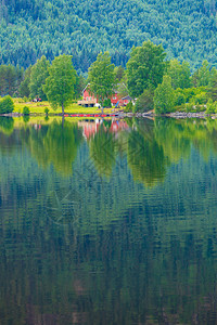 挪威山丘的住房美丽的海岸线峡湾景观斯堪的纳维亚欧洲挪威湖岸山区的住房图片