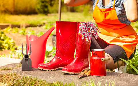 花园户外的艺工具红色橡胶靴子和水罐图片
