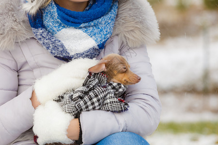女人用毛毯围巾裹住她最好的朋友小狗在寒冷的冬天取暖动物保护存收养概念女孩在寒冷的一天拥抱温暖她的狗图片