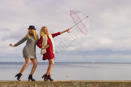 两名穿着时尚服装的妇女穿着服装拥有透明的伞式服装在户外自由度日图片