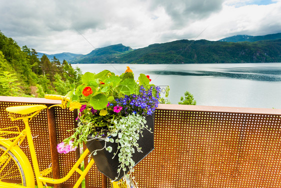 黄色的旧自行车与花篮装饰和索达峡湾景观从斯万达尔斯福森瀑布停车场的看法旅游线路自行车与鲜花和峡湾挪威图片