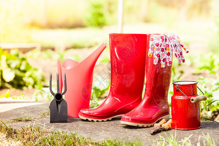 庭外花园红色橡胶靴子和水罐中的园艺工具图片
