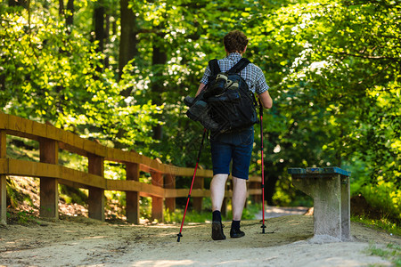 户外生存放松了休闲假的概念独自一人在林地的年轻独自在森林中漫游的