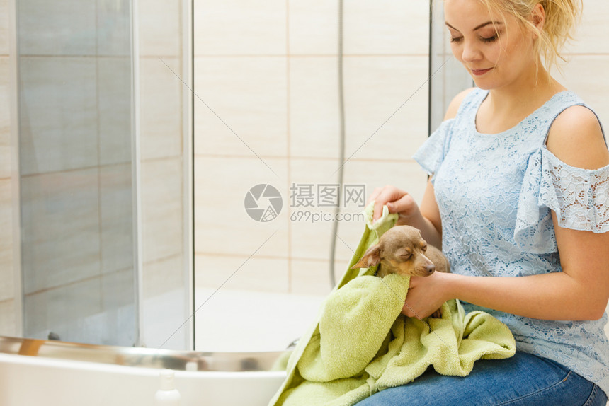 妇女照顾她的宠物在浴室洗完澡后用毛巾烘干小狗用毛巾烘干小狗图片