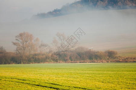 斯洛伐克塔特拉河谷的福吉地貌寒冷的早晨时间绿地草原上的雾自然景观绿地上的雾斯洛伐克绿地上雾图片