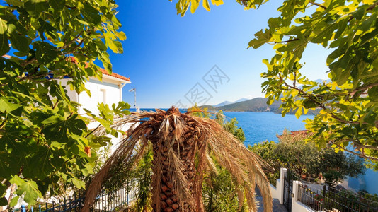 从高角度看希腊海滨小镇的房屋屋顶希腊地中海建筑希腊海边的屋顶图片