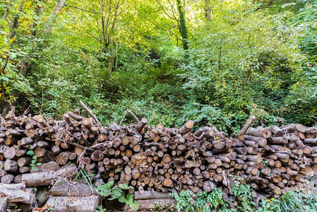 一堆准备过冬的原木一堆劈柴一堆准备过冬的原木图片