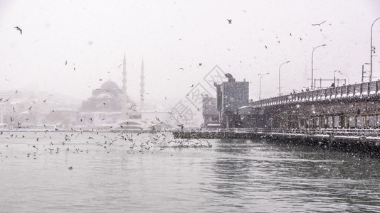 Galata桥和新清真寺是位于土耳其伊斯坦布尔埃米诺努区的一个奥斯曼帝国清真寺图片