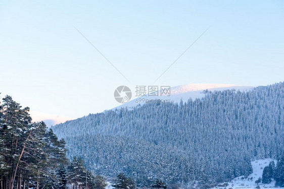 树枝上下雪大天然树冬季天上下雪Coppy空间树枝上下大雪图片