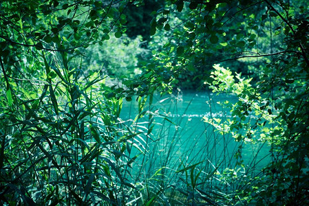 克罗地亚Sibenik的克罗地亚公园之一Krka公园绿叶湖克罗地亚Sibenik克罗地亚Sibenik的Krka公园图片