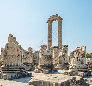 阿波罗寺大理石柱位于土耳其欧洲Aydin省DidimDidyma的考古区图片