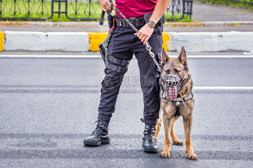 一名土耳其警官在路边将黑色安全狗抓在路上图片
