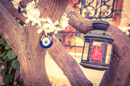 兰花灯笼海灯和恶眼胡子挂在树上装饰海灯和恶眼胡子挂在树上背景