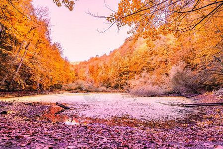 位于土耳其博卢的Yedgoller自然公园池塘的秋色图片