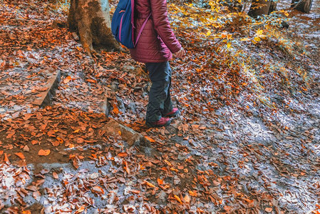 带着背包的人秋天在森林里徒步旅行运动的概念图片