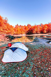 在土耳其博卢Yedigoller自然公园湖和林松树露营帐篷图片