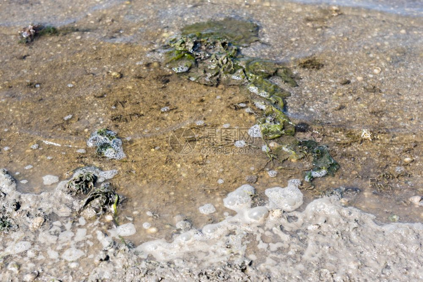 废水环境污染自然肮脏和泡沫水背景污染概念僵化水废环境污染图片