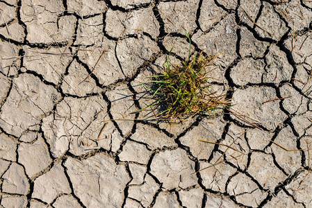 干旱中草的顶部视图土壤质地裂开Dry泥土背景质地GlobalWarming干旱中草地质裂开的土壤图片
