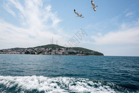 该岛屿是土耳其伊斯坦布尔附近马拉海四个名为PrincesIsland的岛屿之一2017年5月日土耳其伊斯坦布尔附近图片