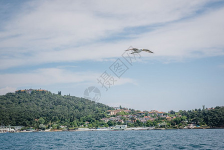 2017年5月日土耳其伊斯坦布尔附近马拉海四个岛屿之一图片