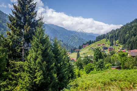 土耳其Rize的Ayder高原景观Ayder谷是夏季旅游的热门目地图片