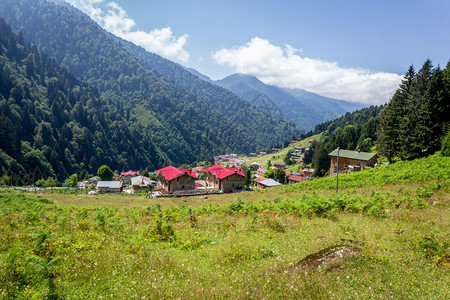 土耳其Rize的Ayder高原景观Ayder谷是夏季旅游的热门目地图片