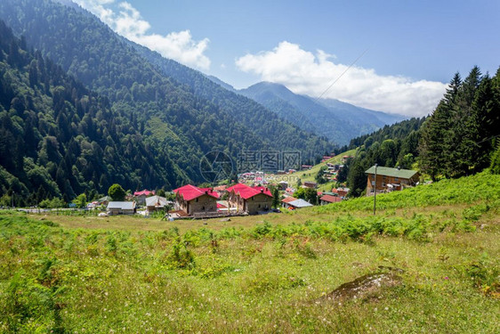 土耳其Rize的Ayder高原景观Ayder谷是夏季旅游的热门目地图片