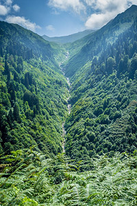 土耳其Rize的Ayder高原景观Ayder谷是夏季旅游的热门目地图片