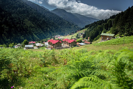 土耳其Rize的Ayder高原景观Ayder谷是夏季旅游的热门目地图片